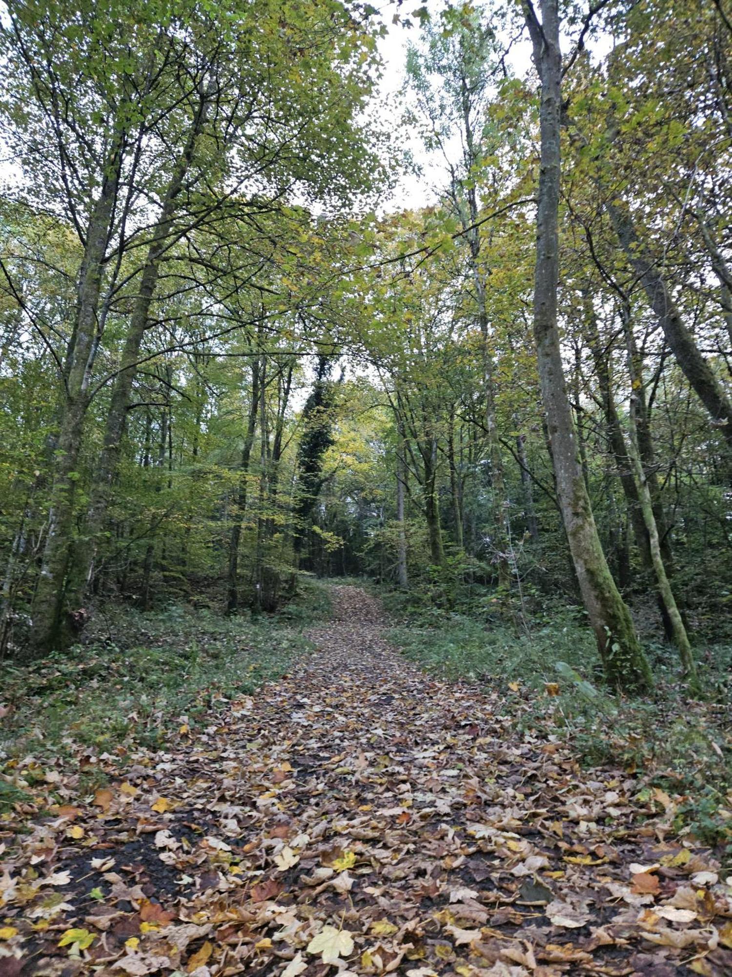 Gemuetliche Ferienwohnung Im Westerwald - "Ferienwohnung Grau" Weitefeld Экстерьер фото
